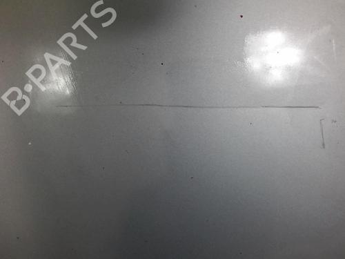 Hood PEUGEOT 406 (8B) 2.0 HDI 110 | BP20356860C1 