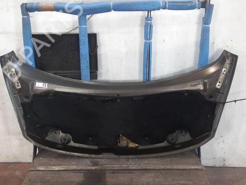 Used Hood PEUGEOT 3008 I MPV (0U_) 1.6 HDi (109 hp) 20365481