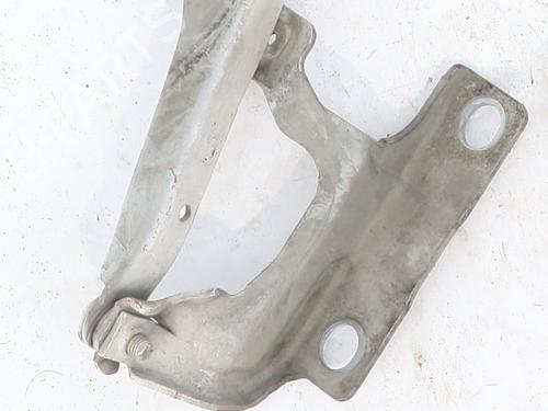 Hinge/Door check strap VOLVO C30 (533) D2 | BP31287876C146