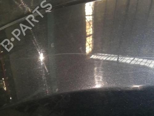 Left front fenders FORD S-MAX (WA6) 1.8 TDCi | BP20690370C41 
