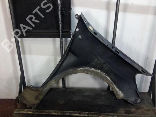 Left front fenders RENAULT CLIO III (BR0/1, CR0/1) 1.5 dCi (BR17, CR17) | BP20360599C41 