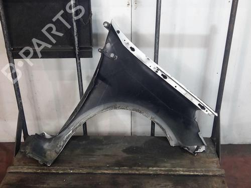 Left front fenders RENAULT CLIO III (BR0/1, CR0/1) 1.5 dCi (C/BR0G, C/BR1G) | BP20352275C41 