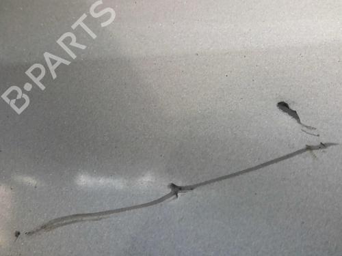 Tailgate PEUGEOT 1007 (KM_) 1.4 HDi | BP22002791C6 