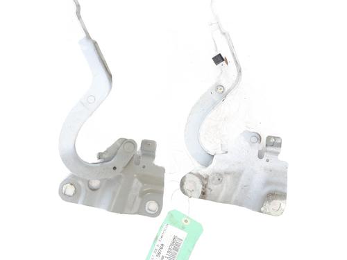 Hinge/Door check strap RENAULT ZOE (BFM_) ZOE | BP31795405C146 - Image 3