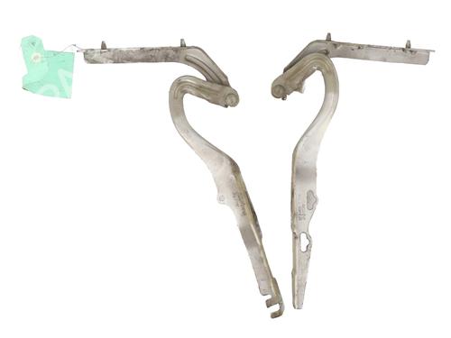Used Hinge/Door check strap PEUGEOT 207 (WA_, WC_) 1.6 HDi (90 hp) 27977526