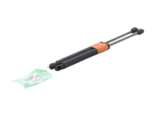 Gassdemper Bakluke VW GOLF V (1K1) 1.9 TDI | BP27601960C138 