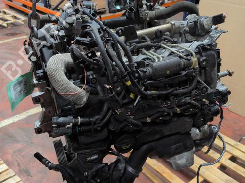 Engine PEUGEOT PARTNER Box Body/MPV 1.6 HDi | BP33945551M1  - Image 5