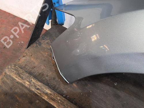 Left front fenders FORD MONDEO IV (BA7) 1.8 TDCi | BP20356621C41 