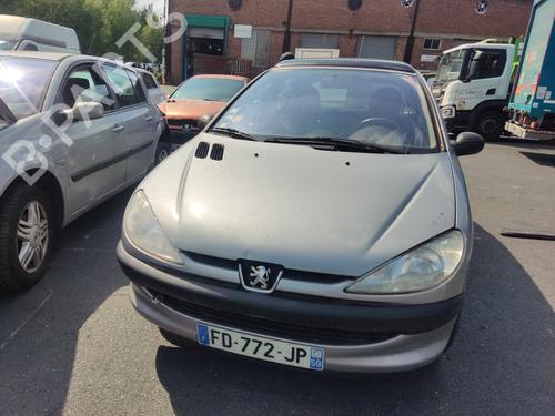 Rear left door window PEUGEOT 206 Hatchback (2A/C) 1.4 i | BP29143197C20 