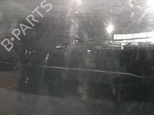 Left front door RENAULT SCÉNIC III (JZ0/1_) 1.5 dCi | BP22002953C2 
