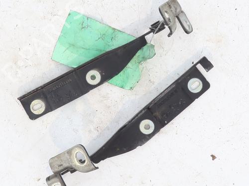 hingedoor-check-strap-citroen-ds3-sa_-2009-2010-2011-2012-2013-2014-2015-2016-31301827 main image