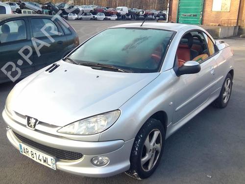 Left front door PEUGEOT 206 CC (2D) 1.6 16V (2DNFUF, 2DNFUR) | BP20367394C2 