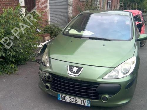 Right front door PEUGEOT 307 (3A/C) 1.6 HDi 110 | BP21999836C3 