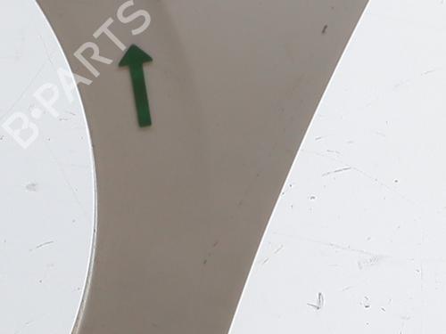 Left front fenders PEUGEOT 208 I (CA_, CC_) 1.6 HDi | BP32199900C41