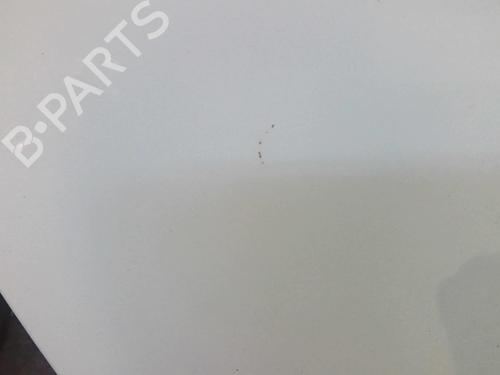 Hood KIA RIO III (UB) 1.1 CRDi | BP20359001C1