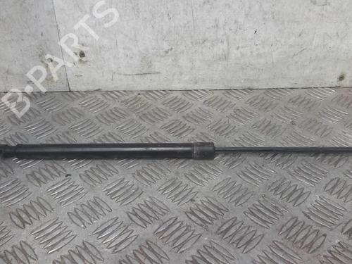 Tailgate lift support PEUGEOT 208 I (CA_, CC_) 1.4 HDi | BP20727479C138