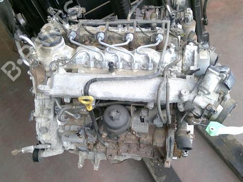Engine HYUNDAI i20 I (PB, PBT) 1.4 CRDi | BP20360620M1 - Image 6