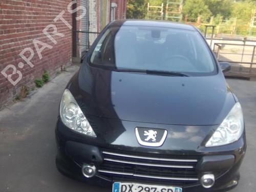 Right front door PEUGEOT 307 (3A/C) 1.6 HDi | BP22002034C3 