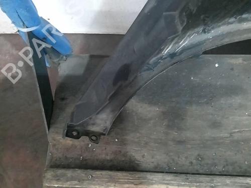 Left front fenders RENAULT SCÉNIC III (JZ0/1_) 1.5 dCi | BP20359128C41 