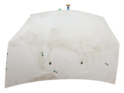 Capot DACIA SANDERO 1.4 (BS0C, BS0A, BS0G, BS1F, BS0E) (75 hp) 31983789