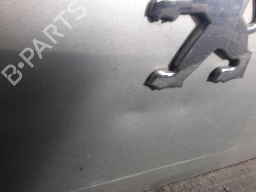 Tailgate PEUGEOT 1007 (KM_) 1.4 HDi | BP20362759C6
