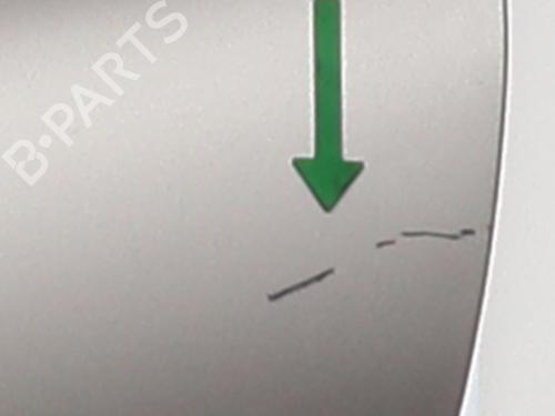 Left rear door RENAULT CLIO III Grandtour (KR0/1_) 1.5 dCi (KR0G) | BP20353029C4 