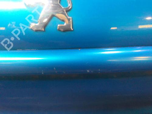 Tailgate PEUGEOT 206 Hatchback (2A/C) 1.4 HDi eco 70 | BP20351208C6 