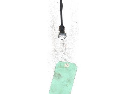 Hinge/Door check strap OPEL AGILA B (H08) 1.3 CDTI (F68) | BP25701830C146 