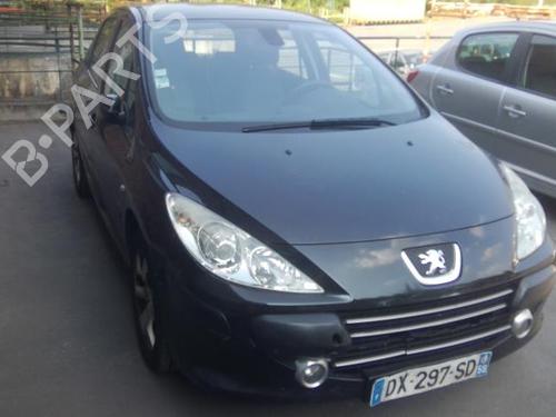 Right front door PEUGEOT 307 (3A/C) 1.6 HDi | BP22002034C3 