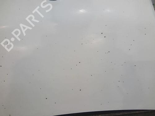 Used Hood FIAT FIORINO Box Body/MPV (225_) 1.3 D Multijet (225BXD1A, 225BXB1A, 225BXB11) (75 hp) 22004611