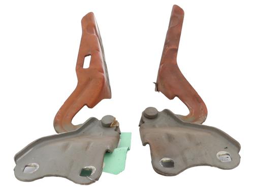 hingedoor-check-strap-renault-twingo-ii-cn0_-2007-28429838 main image