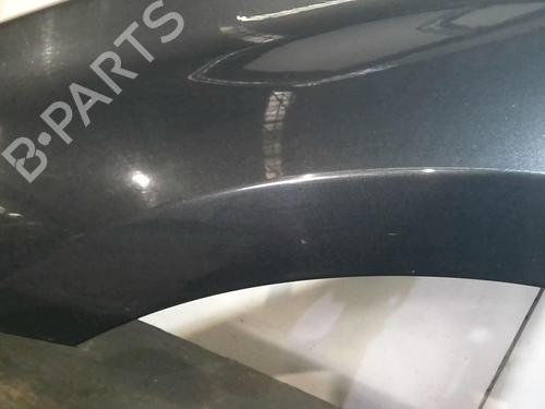 Left front fenders RENAULT LAGUNA III (BT0/1) 1.5 dCi (BT00, BT0A, BT0T, BT1J) | BP20355982C41 