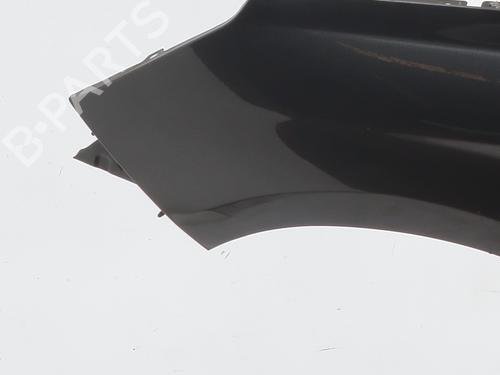 Left front fenders CITROËN C4 II (NC_) 1.6 HDi 115 | BP30362152C41