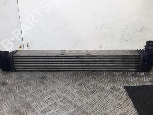 Used Oil radiator Oil radiator RENAULT MEGANE III Coupe (DZ0/1_) 1.5 dCi (DZ09, DZ0D, DZ1F, DZ1G, DZ14, DZ29) (110 hp) 20366979 20366979