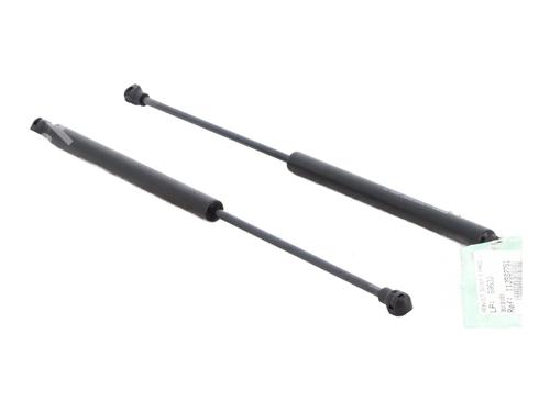Tailgate lift support RENAULT TWINGO III (BCM_, BCA_) 1.0 SCe 70 (BCMB) | BP29600452C138 