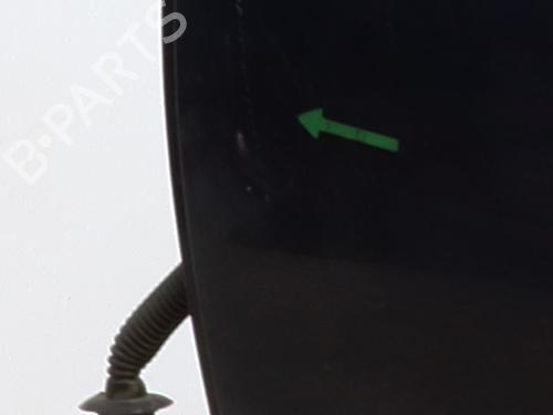 Left rear door DACIA SANDERO II 1.2 | BP27161942C4 