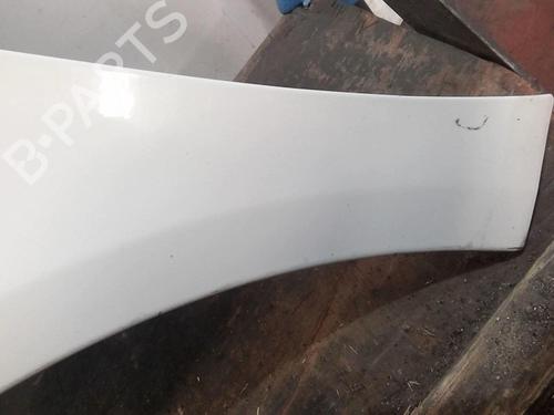 Left front fenders SKODA FABIA II Combi (545) 1.9 TDI | BP20366311C41 