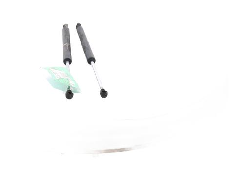 tailgate-lift-support-renault-clio-iii-br01-cr01-2005-2006-2007-2008-2009-2010-2011-2012-2013-2014-31287779 main image
