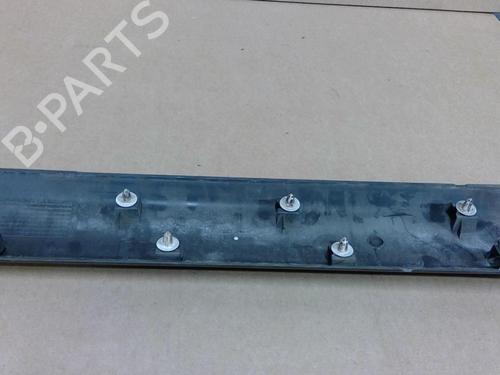 door-moulding-trim-dacia-sandero-2008-29041854 main image