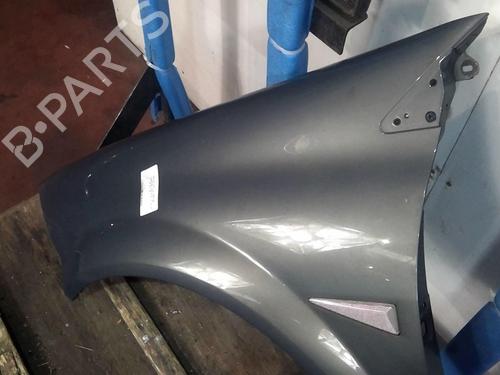 Left front fenders RENAULT MEGANE II Estate (KM0/1_) 1.9 dCi | BP20362007C41 