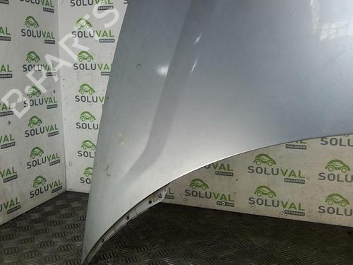 Hood LANCIA PHEDRA (179_) 2.2 JTD (179AXC1A) | BP22000697C1 