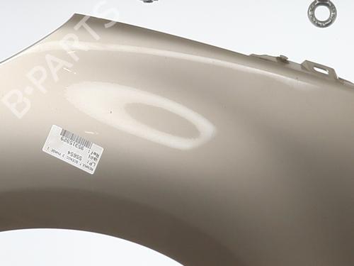 Left front fenders RENAULT SCÉNIC III (JZ0/1_) 1.5 dCi | BP21164014C41 
