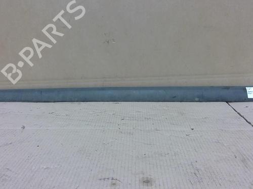Used Door moulding trim PEUGEOT 207 (WA_, WC_) 1.6 HDi (90 hp) 29840522