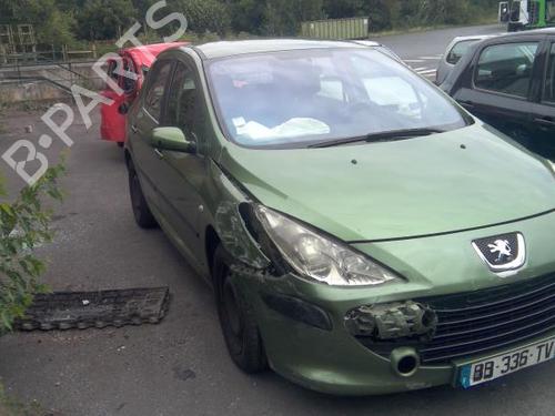 Right front door PEUGEOT 307 (3A/C) 1.6 HDi 110 | BP21999836C3 