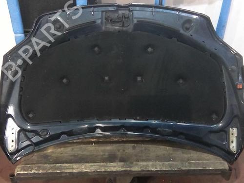 Hood VW GOLF PLUS V (5M1, 521) 1.9 TDI | BP20357011C1 