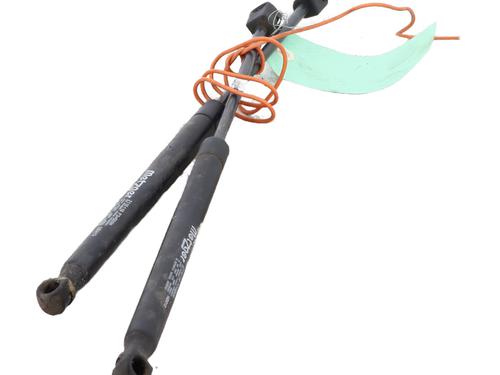 Used Tailgate lift support RENAULT MEGANE II (BM0/1_, CM0/1_) 1.5 dCi (BM1E, CM1E) (106 hp) 25924279