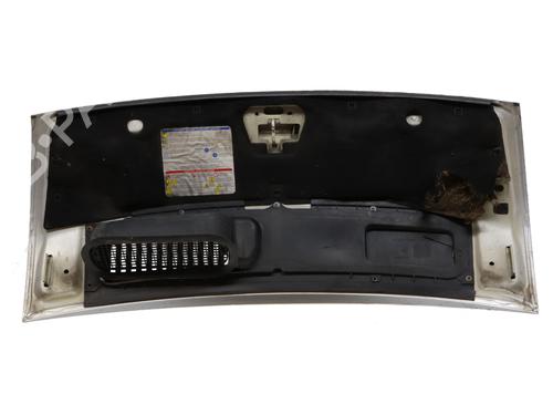 hood-fiat-ducato-van-250_-2006-36314337 main image