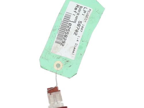 Used Warning switch Warning switch PEUGEOT 1007 (KM_) 1.4 HDi (68 hp) 24300650 24300650