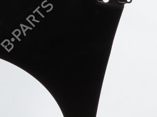 Left front fenders RENAULT CLIO III (BR0/1, CR0/1) 1.5 dCi (BR17, CR17) | BP28110325C41 