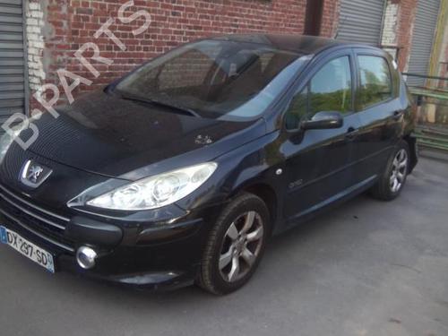 Right front door PEUGEOT 307 (3A/C) 1.6 HDi | BP22002034C3 